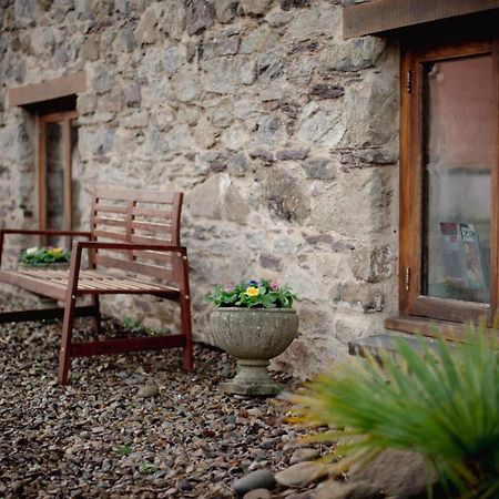 Stunning Converted Granary In Heart Of St Davids Eksteriør billede
